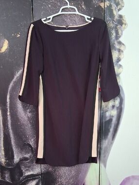Vince Camuto Eggplant Color Long Sleeve Dress with Cream Piping. Size 8